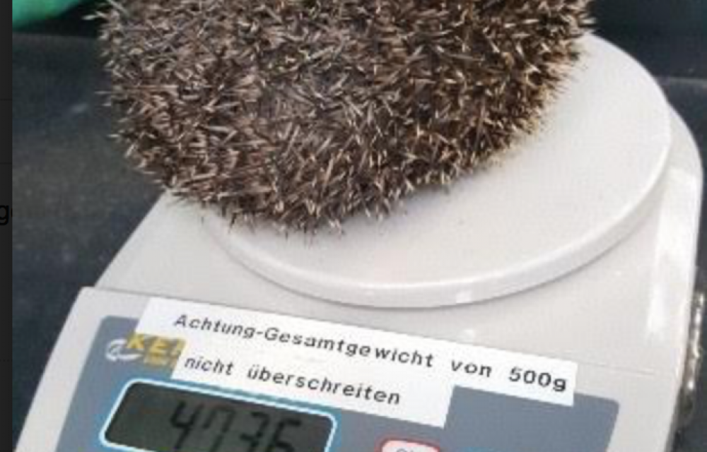 Bildschirmfoto 2017-12-15 um 10.00.26