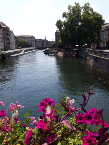 20180719_152834