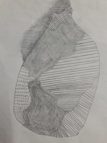 20181204_081537
