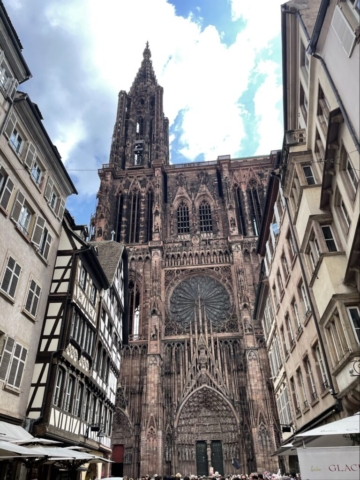 Image (12)